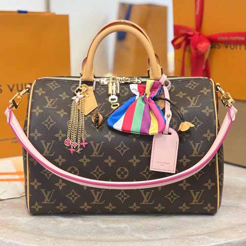 LV Speedy Soft 30 Dark手袋M264