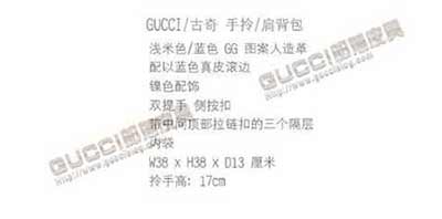 gucci新款藍(lán)色老花單肩包223668 古奇尚時(shí)髦女包 購物包