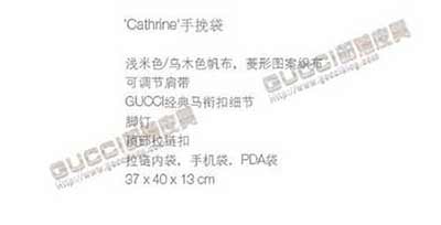 gucci古奇經(jīng)典時尚女包 帆布配皮手挽包 手提包 247287啡