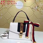 gucci古奇GUCCI新款 新女包哈密