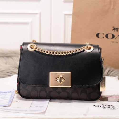 COACH女包新款女士鏈條小香風鏈條包48620