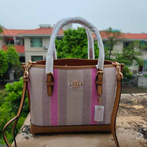蔻馳經典款女包Mollie Tote 25 小號尺寸托特包C4086