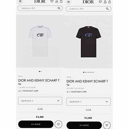 Dio專柜新款聯名系列三標齊全