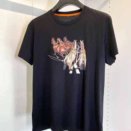 愛仕(Hemès) 新馬車圖型時尚t恤圖案