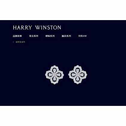 歐美奢華滿鉆寶石耳釘 大品牌夸